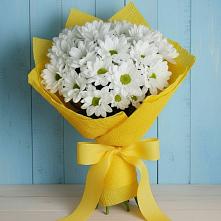 Букет цветов из:  Хризантемы в Бегуницы