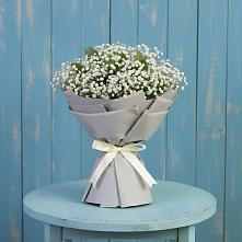 Букет цветов из:  Гипсофила в Бегуницы