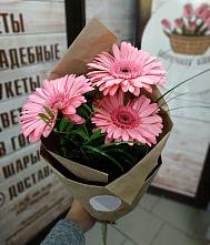 Букет цветов из:  Герберы #REPLACE_PRED# Бегуницы