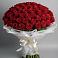 Букет 101 Красная роза Блэк Мэджик в Бегуницы