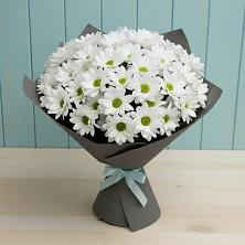 Букет цветов из:  Хризантемы в Бегуницы