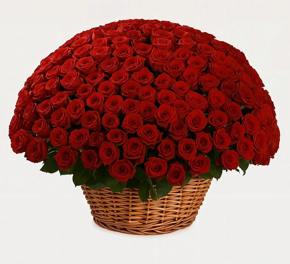 Премиум букет из: Розы в Бегуницы