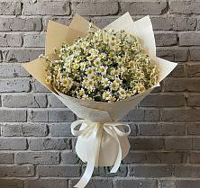Букет цветов из:  Ромашки #REPLACE_PRED# Бегуницы