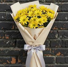 Букет цветов из:  Хризантемы в Бегуницы