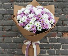 Букет цветов из:  Хризантемы в Бегуницы