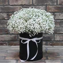 Цветочная композиция из Гипсофила в шляпной коробке в Бегуницы