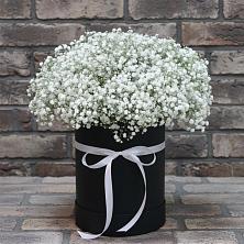 Цветочная композиция из Гипсофила в шляпной коробке в Бегуницы