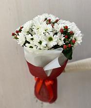 Букет цветов из:  Хризантемы #REPLACE_PRED# Бегуницы