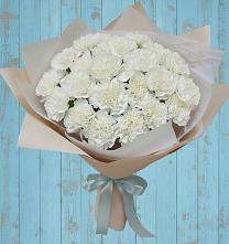 Букет цветов из:  Гвоздики в Бегуницы