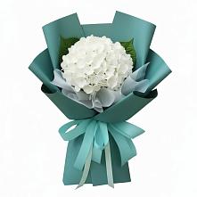 Букет цветов из:  Гортензия в Бегуницы